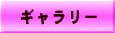 M[@FGlM[/t[GlM[J GIN -W-